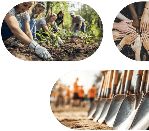 Vrijwilligers planten samen een tuin